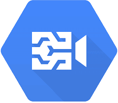 Google Video Intelligence icon